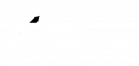 JK Underwear